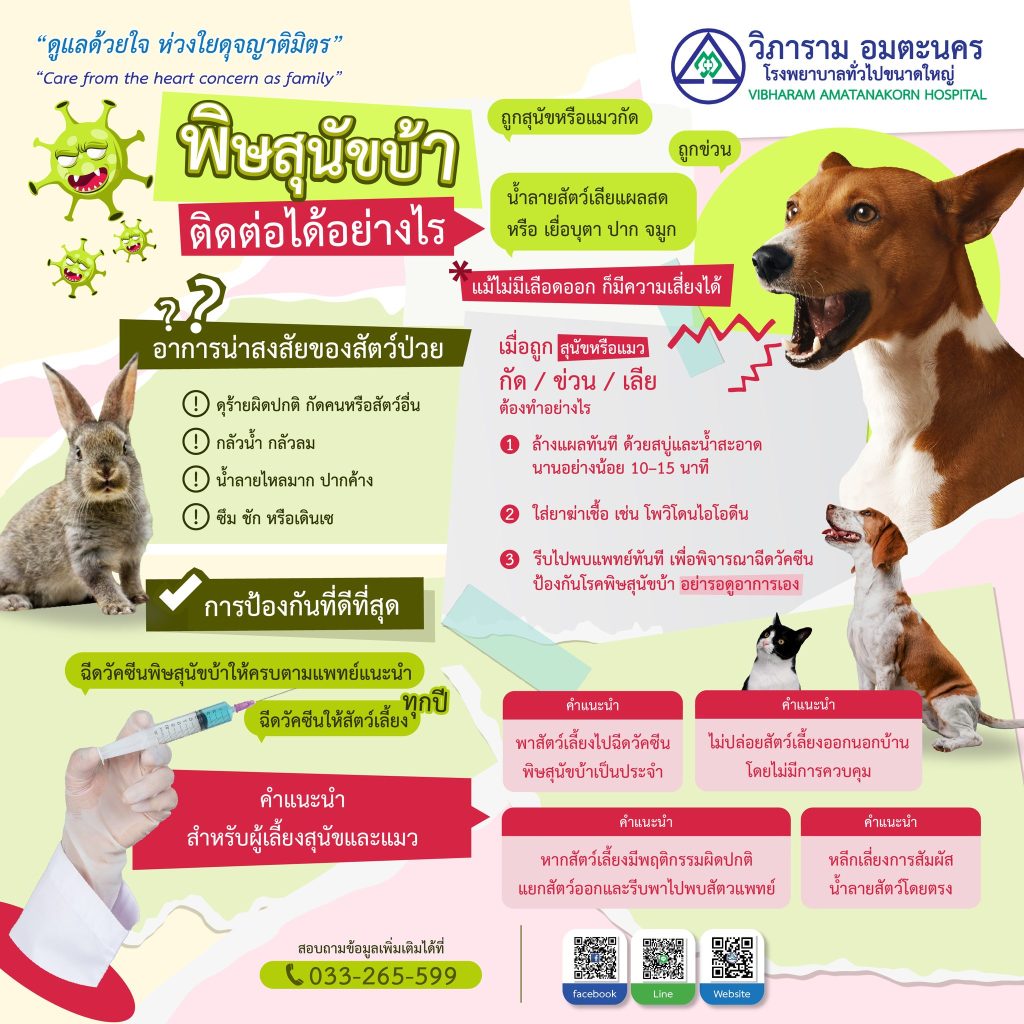 พิษสุนัขบ้า ติดต่อได้อย่างไร…